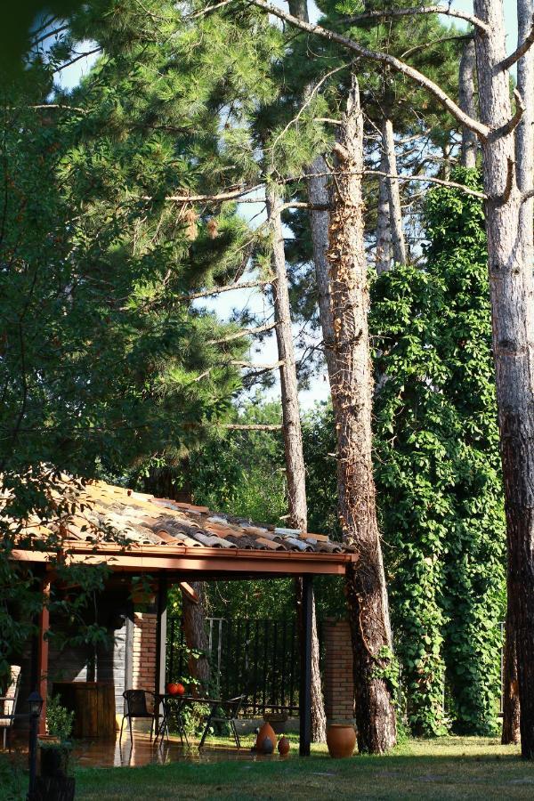 Hotel Უცხო-Utskho Telavi Exterior foto